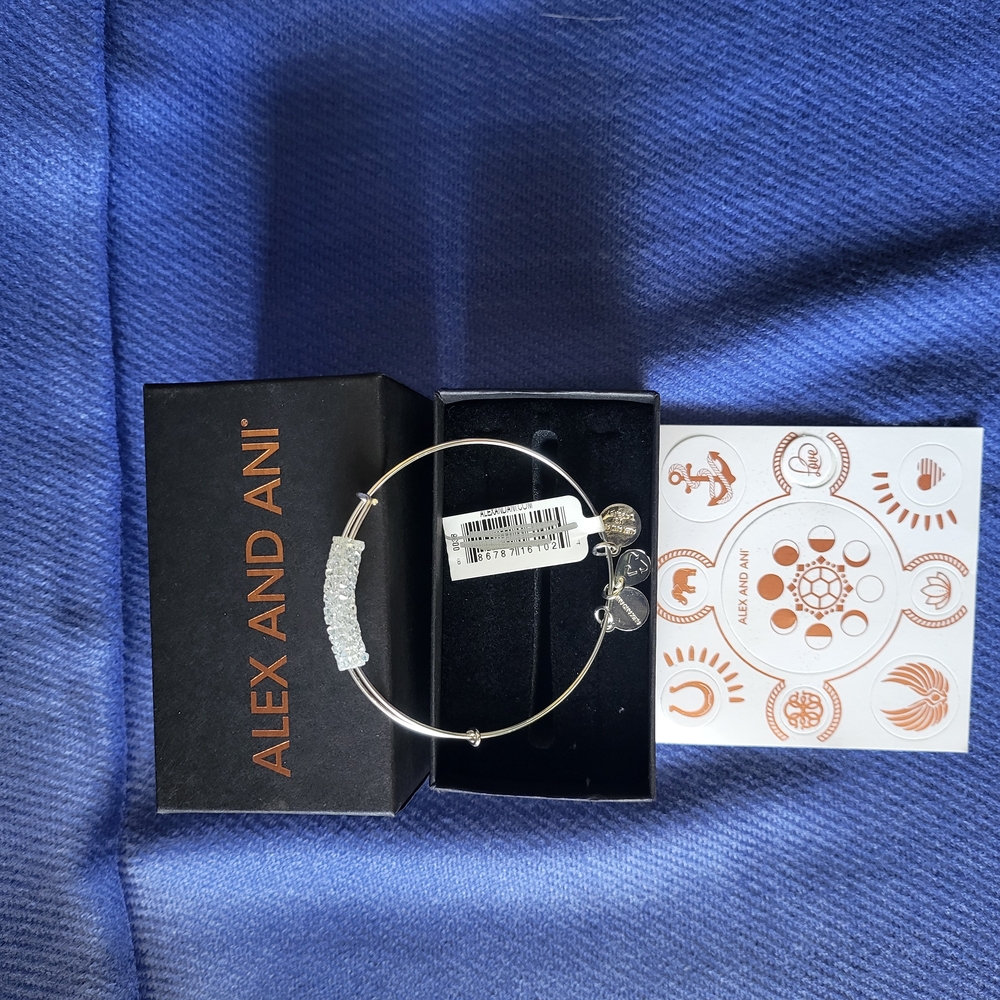 Alex and Ani Silver Charm Bracelet